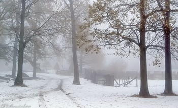 Winter / ...
