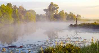 Morgendämmerung / ***