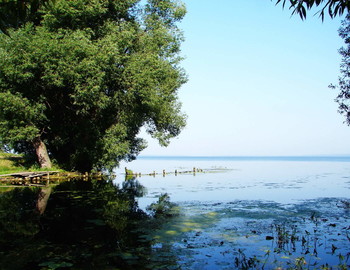 Erinnerungen an den Sommer / ***