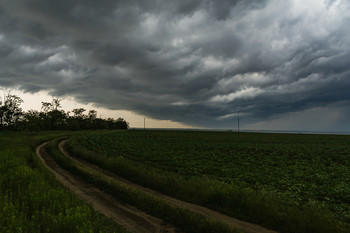 Before the storm / ***