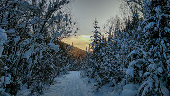 Sunrise over the river / ***