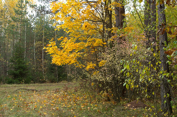 Warm October / ***