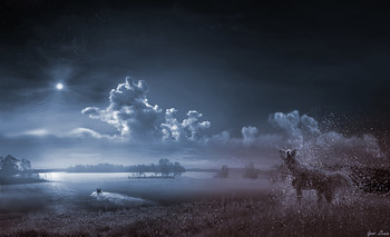 Moonlight night / ***