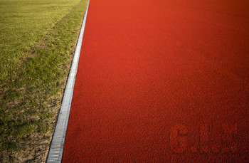 Stadion / ***