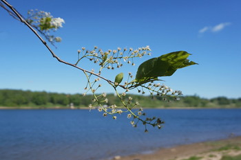 Spring story / ***
