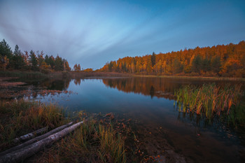 Autumn colors / ***