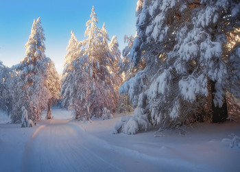 Läuft weg in die Ferne / ***