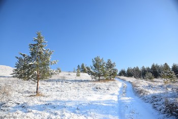 Winterwanderung / ...