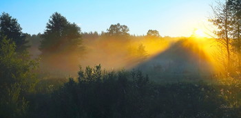 Dawns Strahlen. / ***