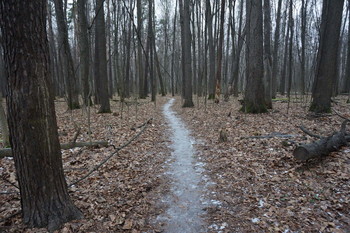Snow Runner / Timiryazev park, Koptevo neighborhood, Moscow, Russia