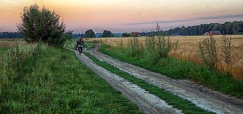 Der Weg in den Morgen / ***