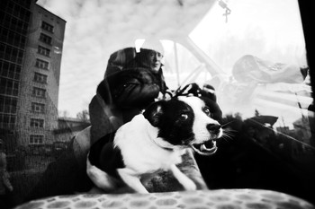 Woof / ***