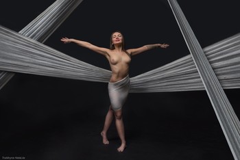 Non-Euclidean geometry / ***