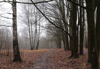 In autumn park / ***