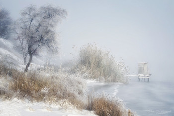 Winter Beach / ***