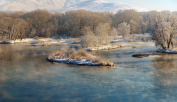 Winter / ***
