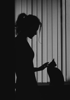 ,,,, / .................................