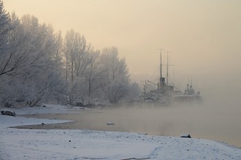 Cold / ***
