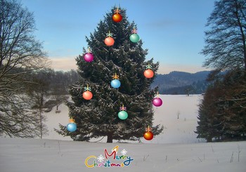 Frohe Weihnachten / Frohe Weihnachten wünsche ich Euch allen.