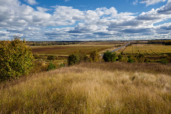 Native open spaces / ***