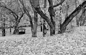 Legenden der Leidenschaft / ***