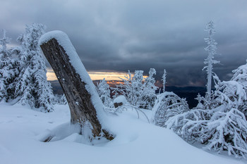 Letztes Licht / Sonnenuntergang am Dreisesselberg