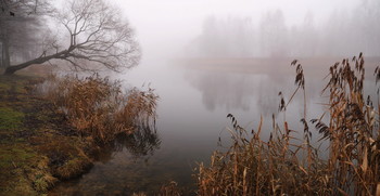 In the morning / ***