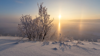Glückliches Neues Jahr !!! / ***