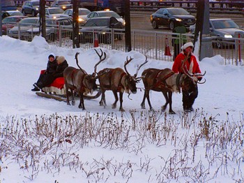 Frohes Neues Jahr! / ***