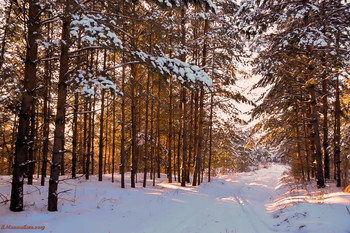 Nach dem Sonnenuntergang / ...