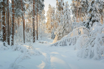 Glückliches Neues Jahr !!! / ***