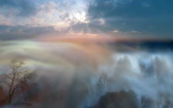 Nebligen Morgen ... / ***