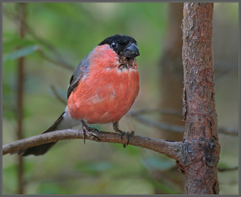 nach regen am Donnerstag / ***