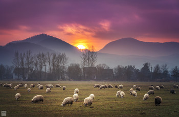 Transcarpathia / 02.01.2020
