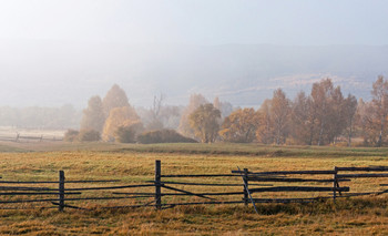 Morgennebel. / ***