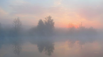 Im Nebel. / ***