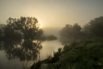 autumn mist / ***