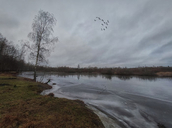 Auf dem See / ***