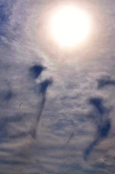 Flug / ***