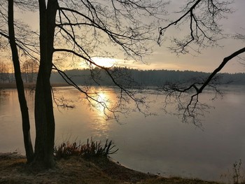 Herbstnebel / ***