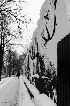 Winter / ***