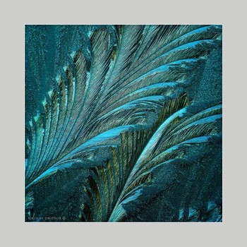 &nbsp; / music: Annie Lennox - Why
https://www.youtube.com/watch?v=HG7I4oniOyA