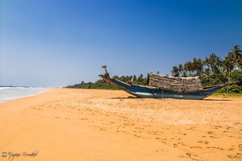 Beach / The beaches of Celon Island near Bentota.