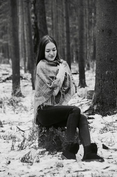 in the winter forest / ***