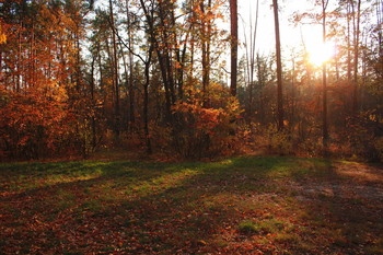 Autumn Sunset / ***