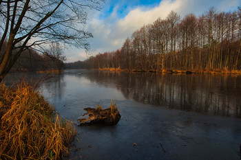 Forest Lake / ***