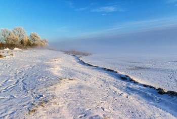 Winter / ***