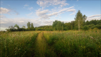 In forest / ***