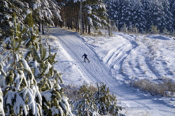 Skier / ***