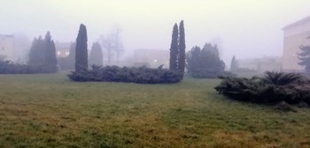 Winter fog / ***